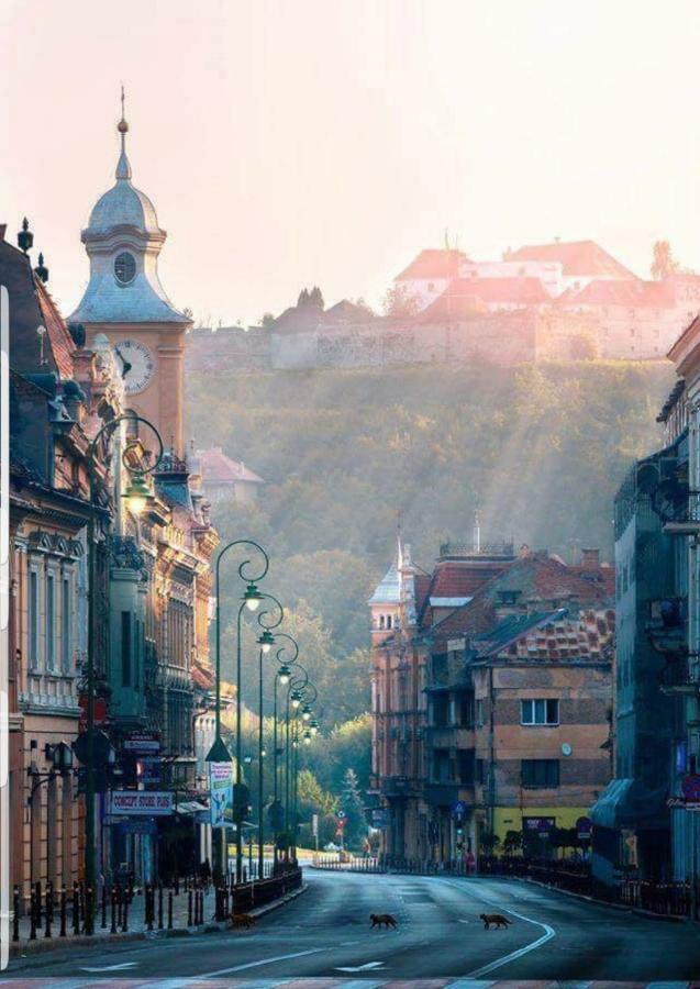 Strada Republicii Nr 26 Apartment Brasov Bagian luar foto